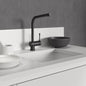 Ceralook Single Lever l-Shape spout Kitchen tap,Silk Black